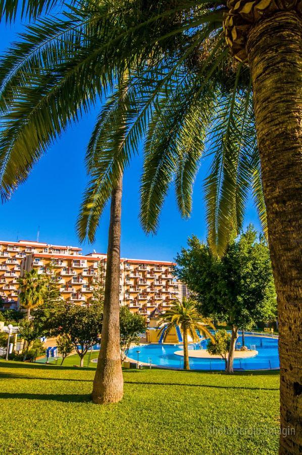 706 Minerva Apartamentos - Vista Al Mar Y La Piscina - Piscina Y Playa Benalmádena Exteriör bild